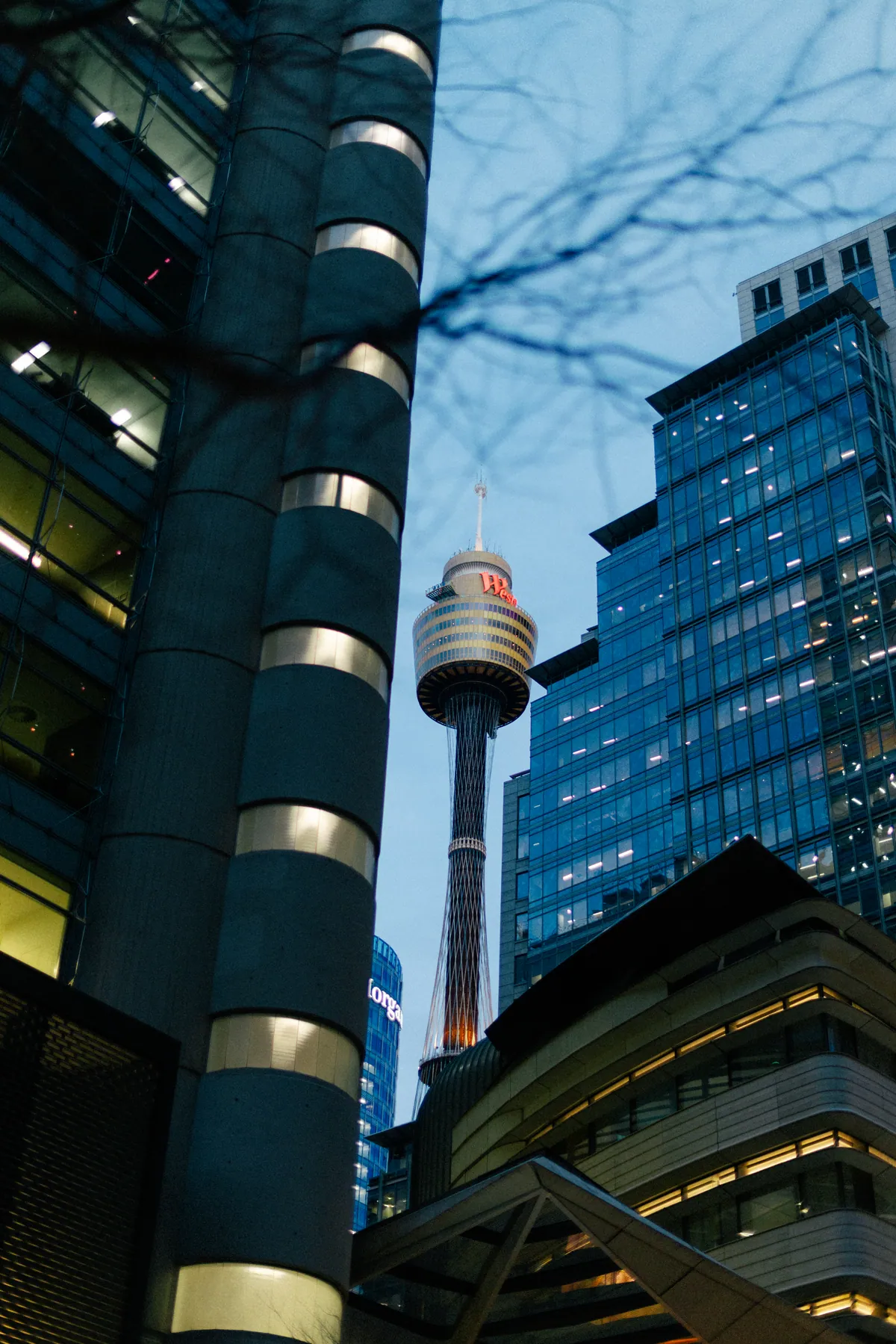 Sydney Tower seen between dark glass office buildings in fading light
